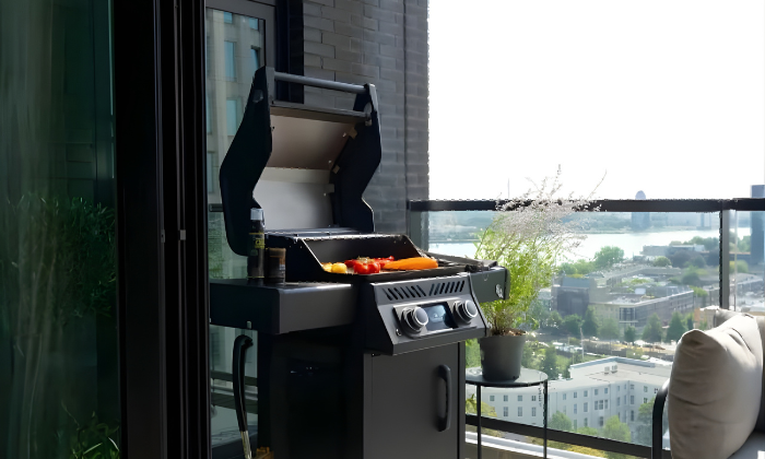Electric Barbeques
